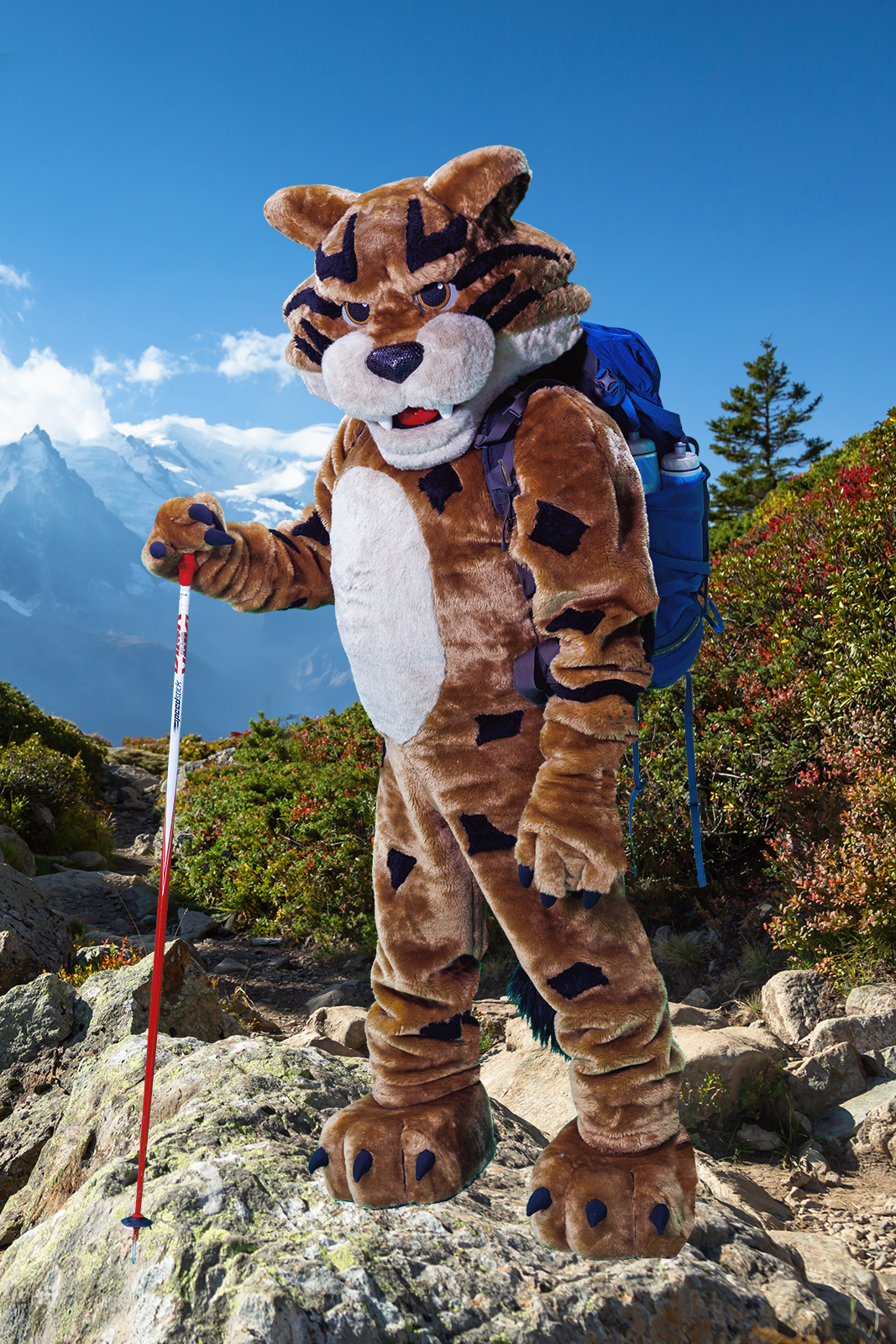 Mascot hiking